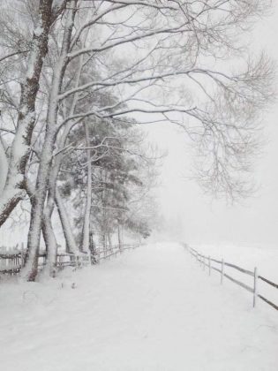 Івано-Франківщину накрив сильний снігопад ФОТОРЕПОРТАЖ