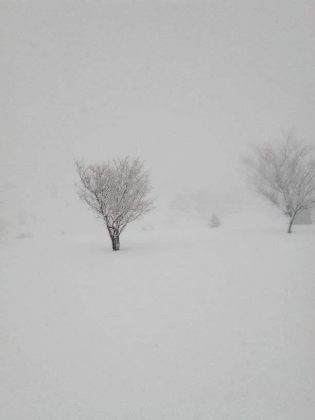 Івано-Франківщину накрив сильний снігопад ФОТОРЕПОРТАЖ