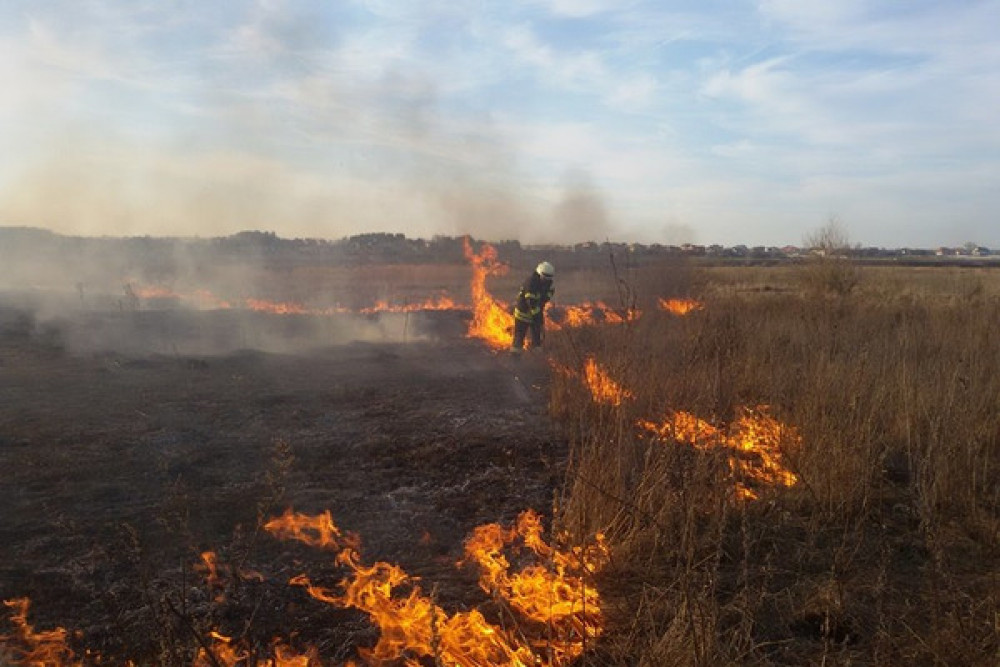 Вогонь охопив Прикарпаття: за добу майже пів сотні пожеж, більшість - через спалення сухостою