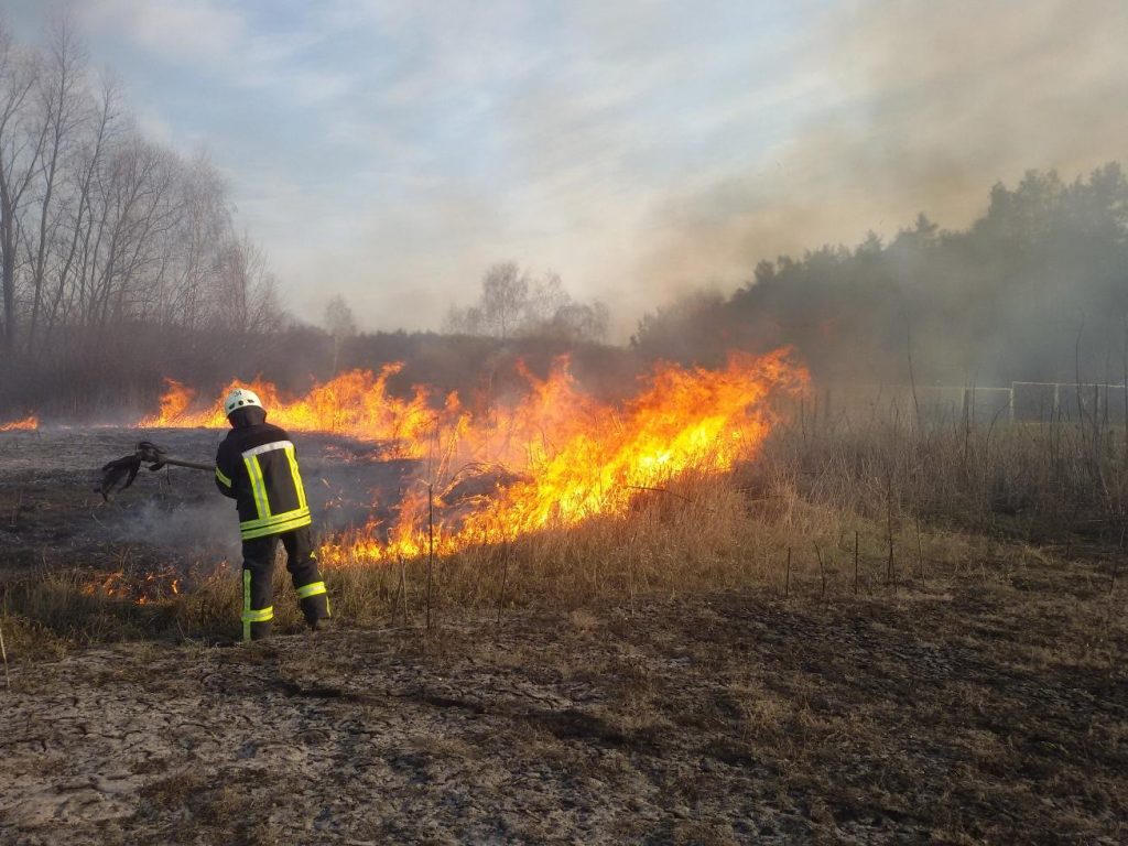Від початку року на Франківщині зафіксували більше пів тисячі підпалів сухої трави
