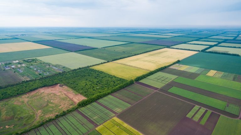 Прокуратура на Прикарпатті через суд поверне землю, яку незаконно передали жінці