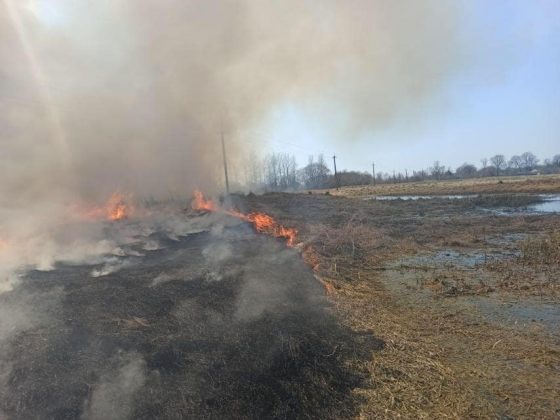 Упродовж минулої доби прикарпатські рагулі влаштували 65 підпалів сухої трави та сміття ФОТОРЕПОРТАЖ