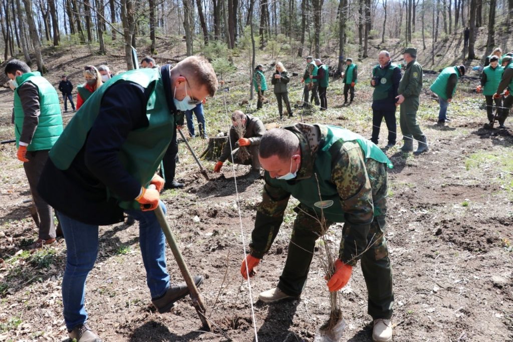 Голова ОДА Івано-Франківської області долучився до акції з посадки дерев
