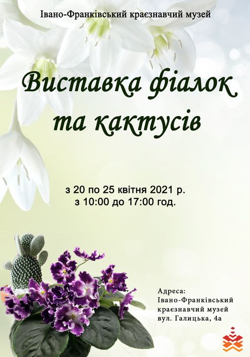 Франківців запрошують відвідати виставку декоративних фіалок та кактусів