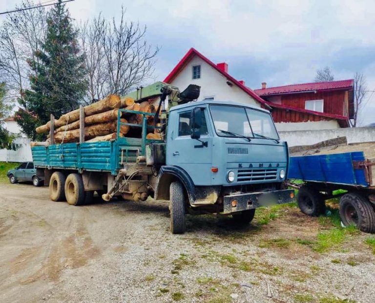 На Прикарпатті поліцейські задокументували факт перевезення краденої лісодеревини ФОТО