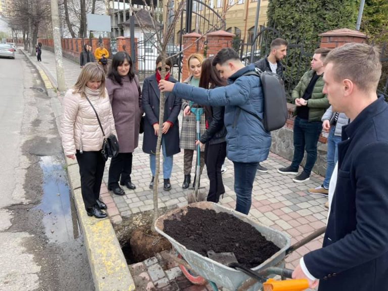 У Івано-Франківську висадили алею сакур