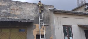 Прикарпатські рятувальники врятували чотирилапих ФОТО