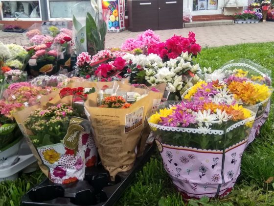 Франківські підприємці рятували квіти під час пожежі ФОТОФАКТ