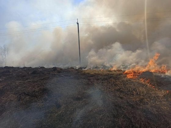 Упродовж минулої доби прикарпатські рагулі влаштували 65 підпалів сухої трави та сміття ФОТОРЕПОРТАЖ