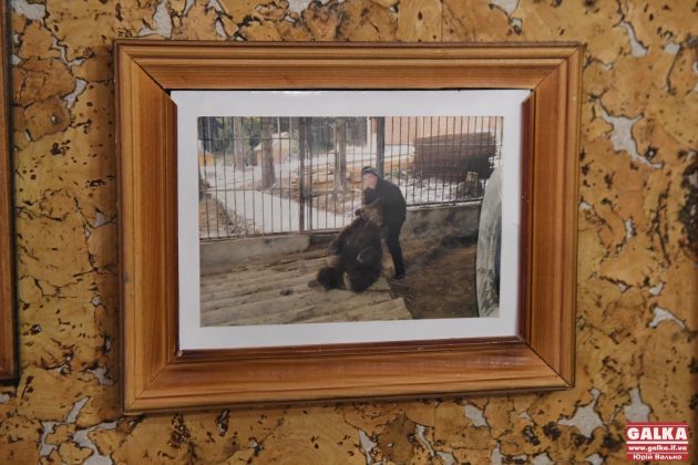 Ведмедя з косівського ресторану "Байка" врешті перевезли до центру реабілітації "Синевир" ФОТО та ВІДЕО