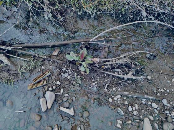 Декілька сотень патронів і гранати: франківець знайшов арсенал боєприпасів на березі Бистриці ФОТО