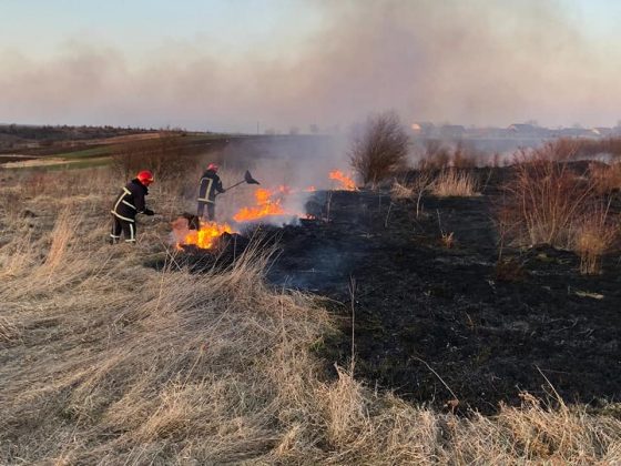 Упродовж минулої доби прикарпатські рагулі влаштували 65 підпалів сухої трави та сміття ФОТОРЕПОРТАЖ