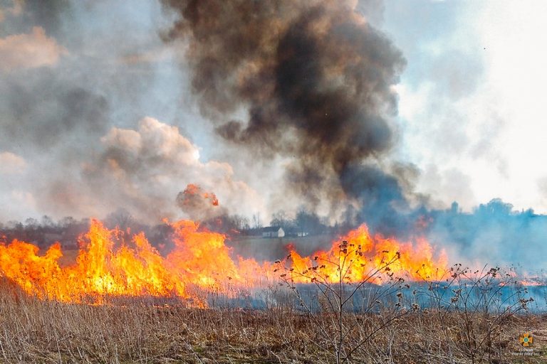 На Франківщині продовжують підпалювати суху траву