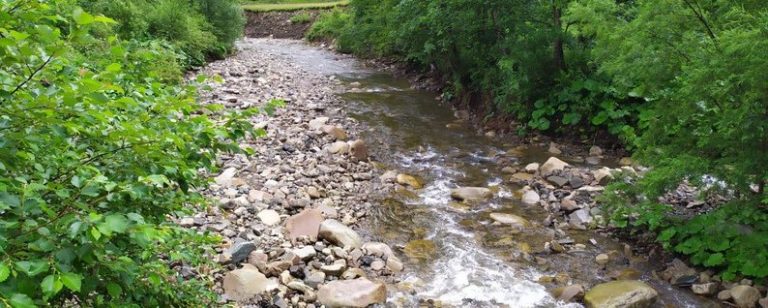 Прикарпатські науковці розробили новий метод оцінки якості води в річках Карпатського регіону