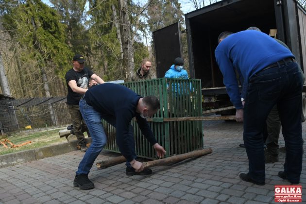 Ведмедя з косівського ресторану "Байка" врешті перевезли до центру реабілітації "Синевир" ФОТО та ВІДЕО