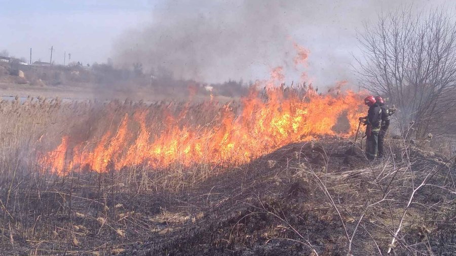 Палії сухостою завдали збитків Франківській ТГ на понад 1 мільйон гривень ВІДЕО