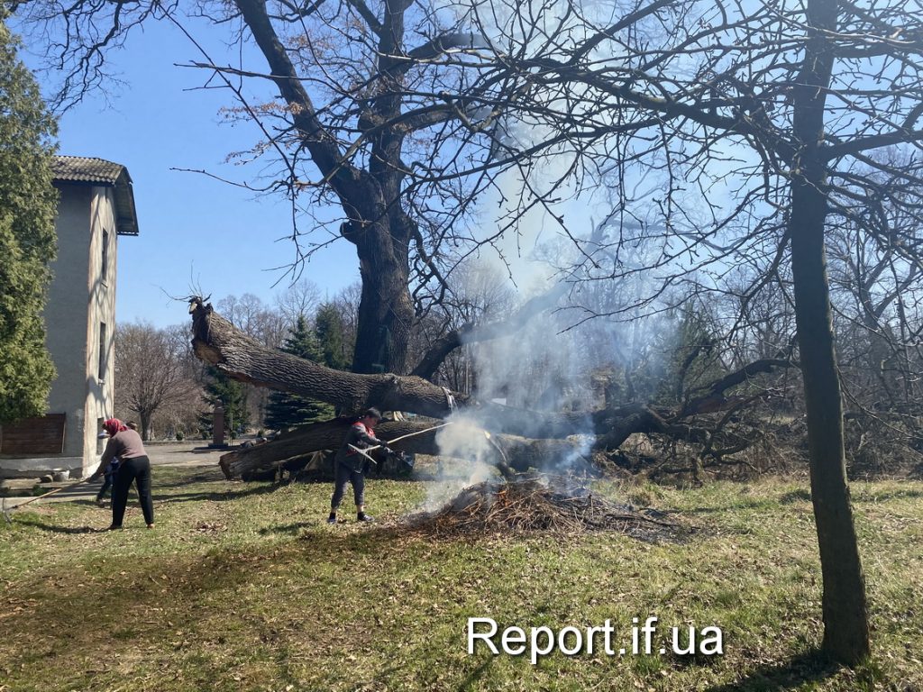 Замок над Дністром, Біблійний сад та Папа Римський: чим вражає туристів відоме прикарпатське село ФОТОРЕПОРТАЖ