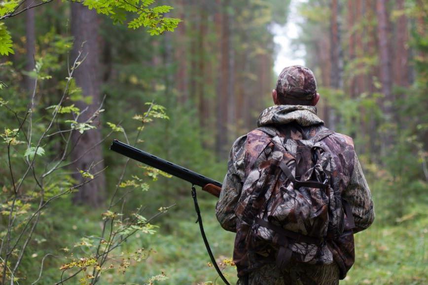 У 2020 році на Прикарпатті мисливці відстріляли близько 50 тисяч тварин