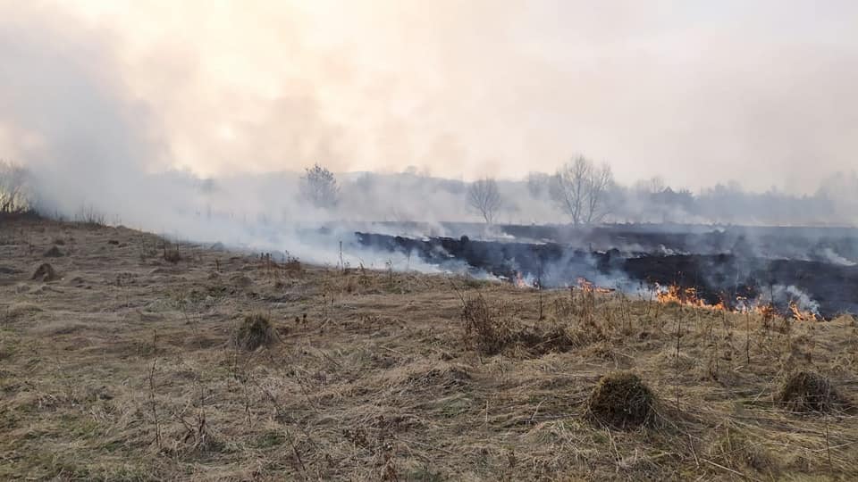 Із потеплінням прикарпатські ґазди взялися масово палити суху траву