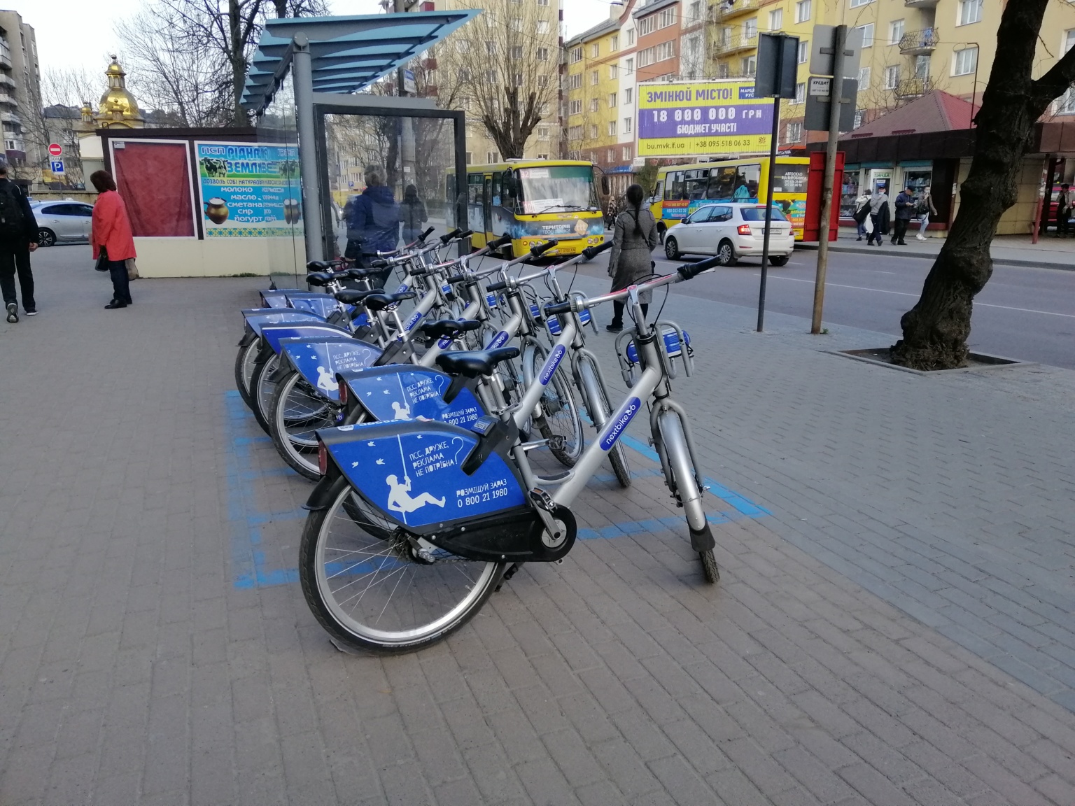 Місто на двох колесах. Чи є Франківськ зручним для велосипедистів