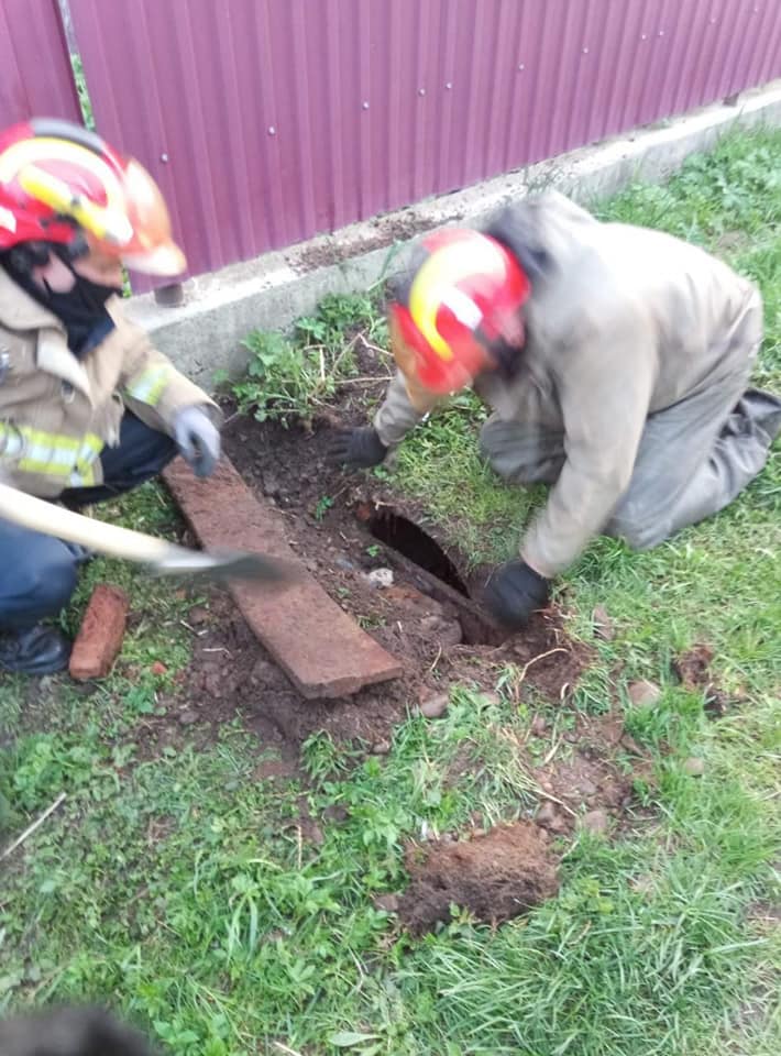 Прикарпатські надзвичайники рятували собак. Один застряг у стічній трубі, інший – у гіллі в річці ФОТО