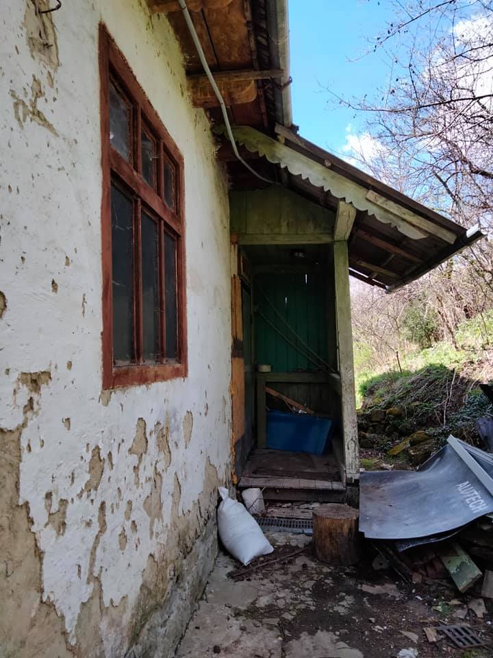 карпатській