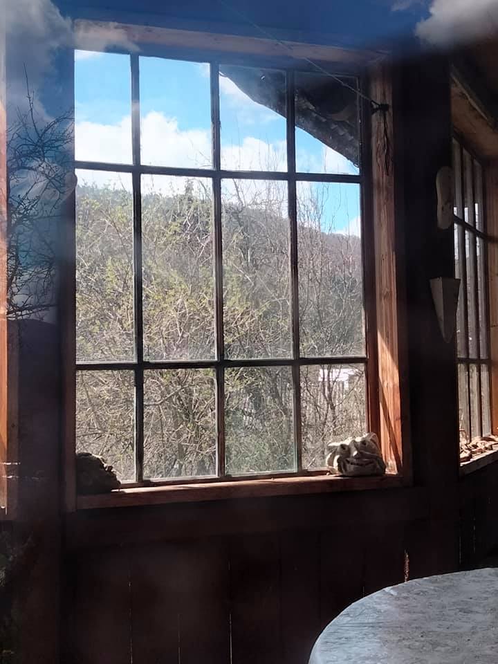 карпатській