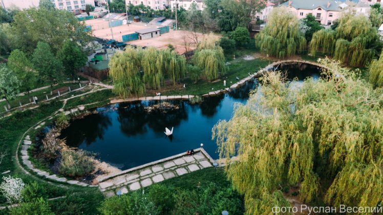 Як виглядає маловідоме франківське озеро з лебедем з висоти ФОТОРЕПОРТАЖ