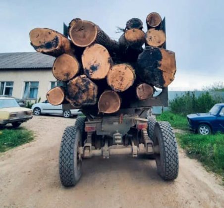 На Франківщині правоохоронці затримали вантажівки з незаконно зрубаною деревиною ФОТО