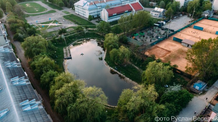 Як виглядає маловідоме франківське озеро з лебедем з висоти ФОТОРЕПОРТАЖ