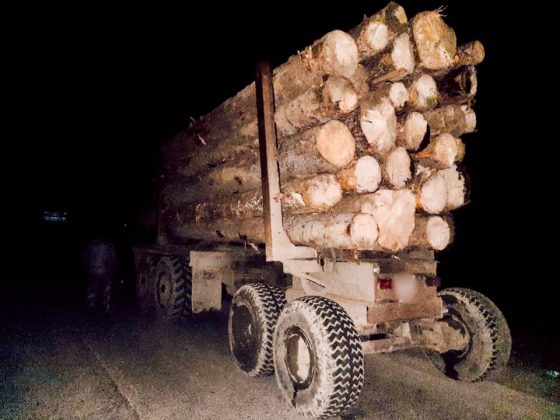 Прикарпатця спіймали з вантажівкою краденого лісу ФОТО