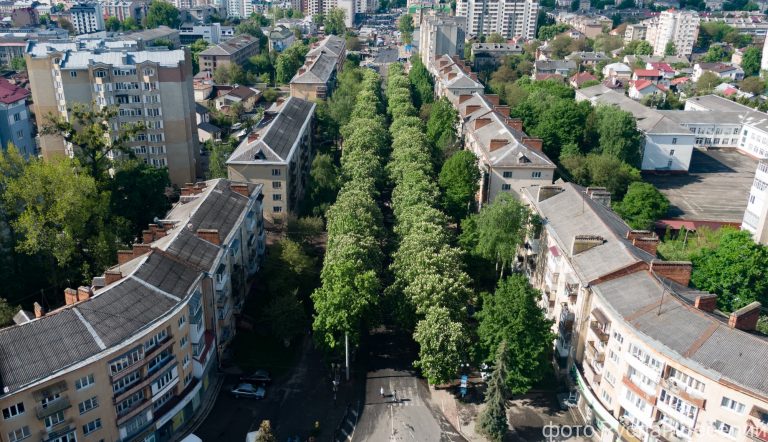 Франківський фотограф показав, як виглядає алея каштанів на Північному бульварі з висоти ФОТО