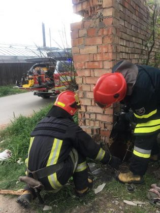 На Прикарпатті рятувальники допомогли їжаку ФОТО