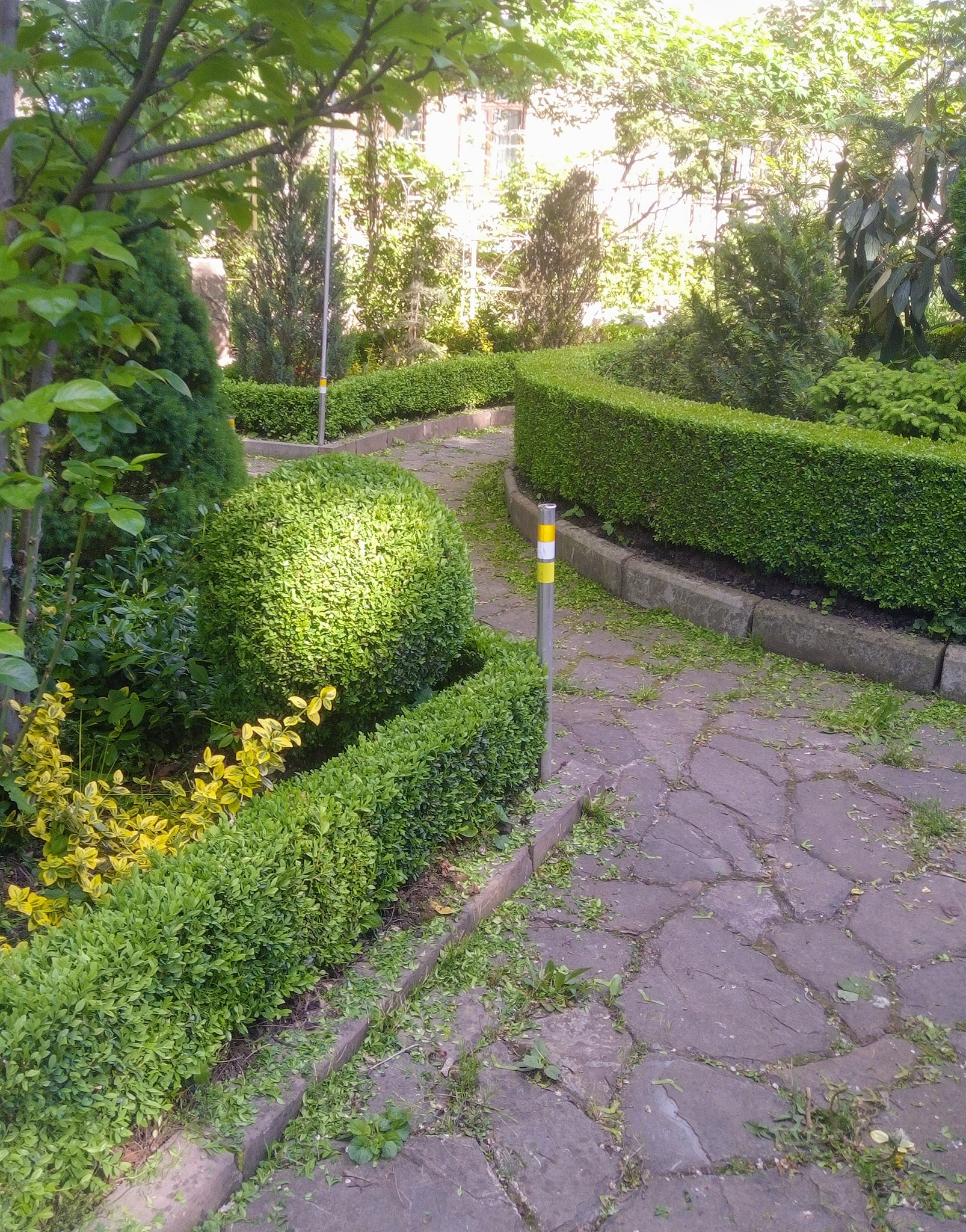 палісадник
