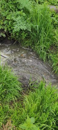 За крок до екологічного лиха: на Прикарпатті "ґазди" спустили фекалії в річку ФОТО