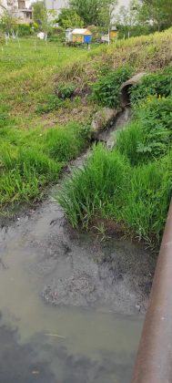 За крок до екологічного лиха: на Прикарпатті "ґазди" спустили фекалії в річку ФОТО