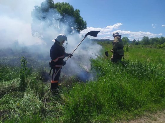 Прикарпатці продовжують палити суху траву