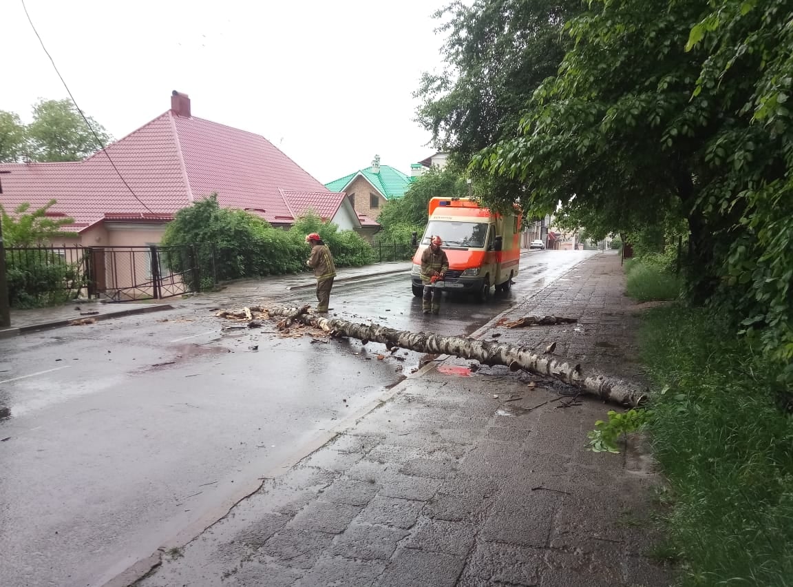 Прикарпатські рятувальники розчищали проїжджі частини від повалених негодою дерев