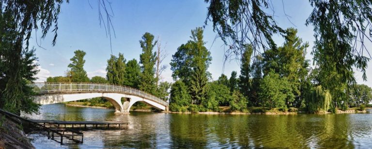 Франківці виступили проти забудови останньої зеленої зони біля міського озера