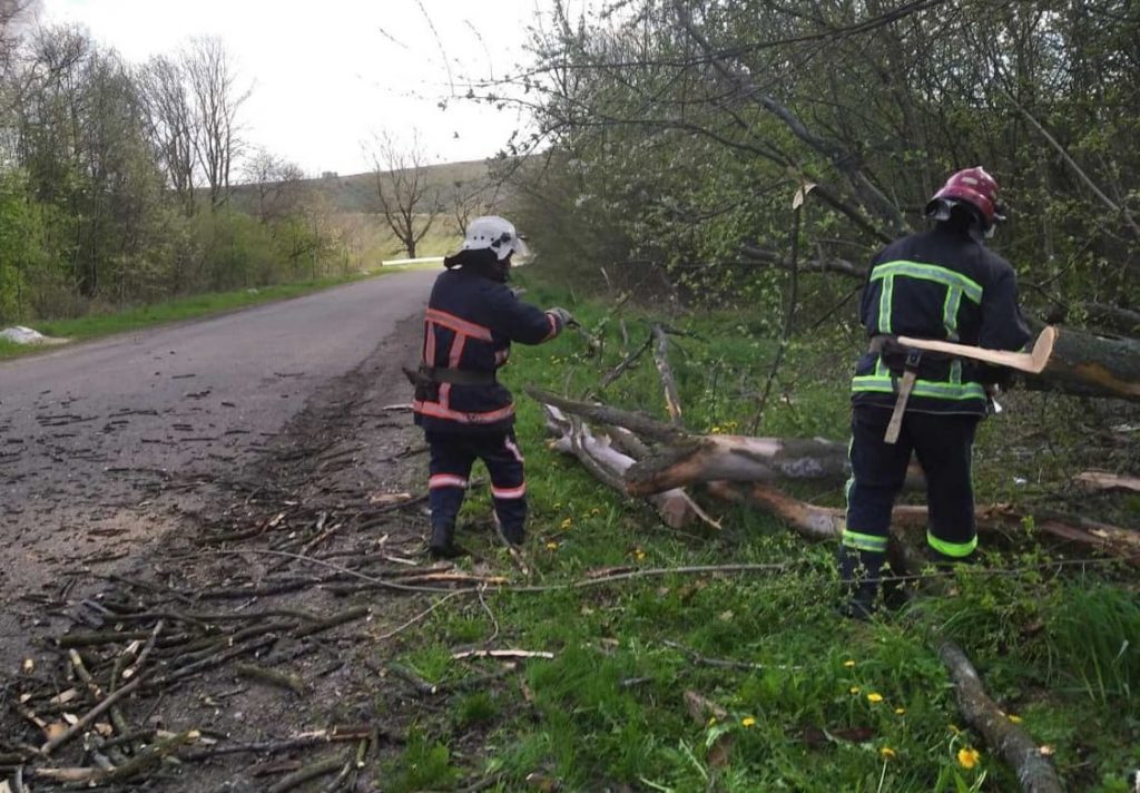 Повалене дерево перекрило рух транспорту на Рогатинщині ФОТО