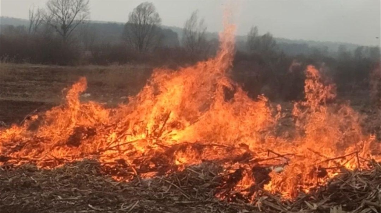 На Франківщині продовжують масово палити суху траву