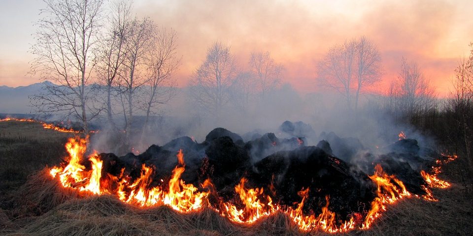 На Франківщині очікується надзвичайно висока пожежна небезпека