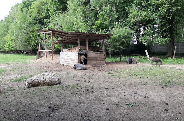 Депутати Франківської облради відвідали лісгосп та мисливське господарство ФОТО