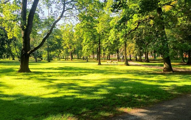 В Івано-Франківську планують створити новий парк