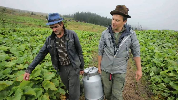 Варив бринзу і досліджував гори: відомий український мандрівник поділився враженнями від поїздки Карпатами ФОТО