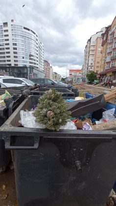 "Чемпіон по витривалості": франківець врешті наважився викинути новорічну ялинку ФОТО