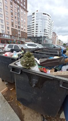 "Чемпіон по витривалості": франківець врешті наважився викинути новорічну ялинку ФОТО