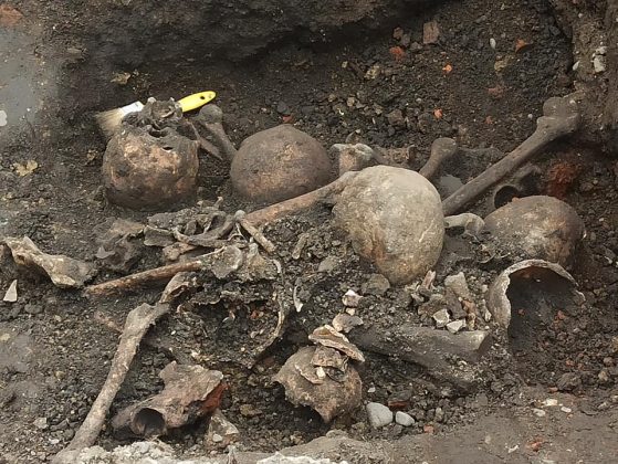 На Прикарпатті під церквою виявили людські рештки ФОТО