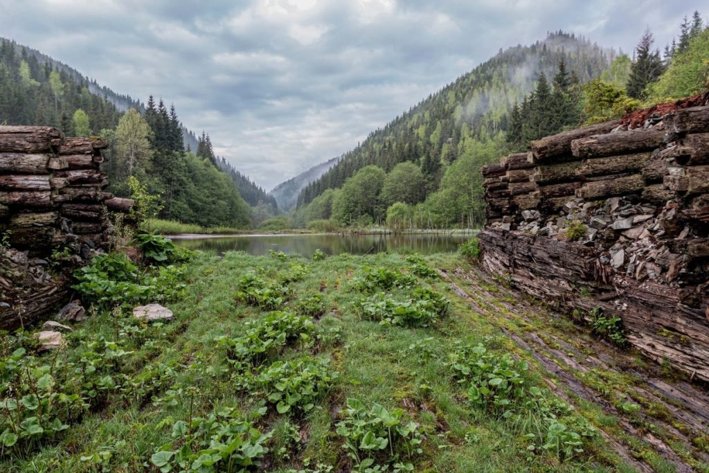 унікальна