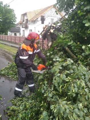 Повалені дерева та затоплені багатоповерхівки: негода завдала клопотів франківським комунальникам ФОТО